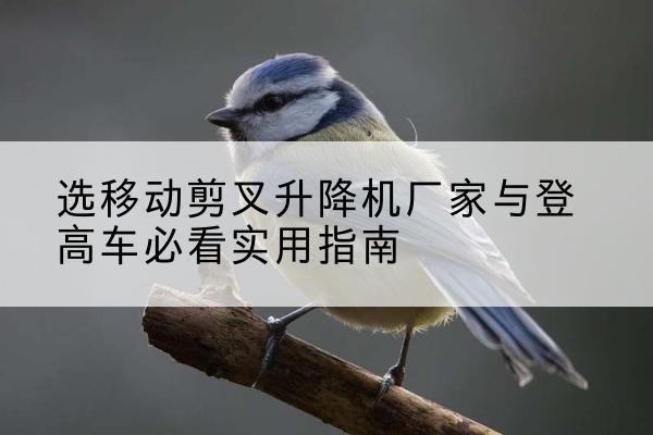 天宁电动升降机厂家-选移动剪叉升降机厂家与登高车必看实用指南