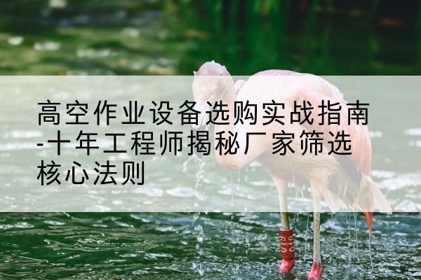 天宁剪叉式升降机厂家-高空作业设备选购实战指南-十年工程师揭秘厂家筛选核心法则