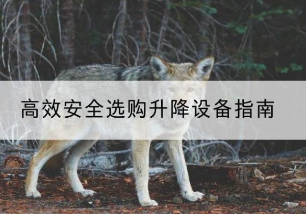 天宁升降货梯厂家推荐-*安全选购升降设备指南