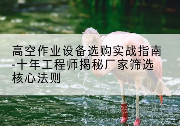 天宁剪叉式升降机厂家-高空作业设备选购实战指南-十年工程师揭秘厂家筛选核心法则