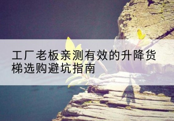 天宁升降货梯怎么选-工厂老板亲测有效的升降货梯选购避坑指南